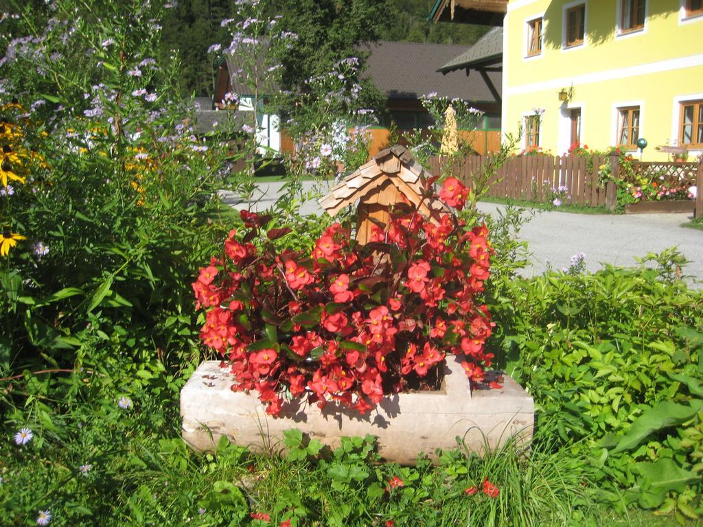 Biobauernhof Hauserbauer Hintersee Eksteriør billede