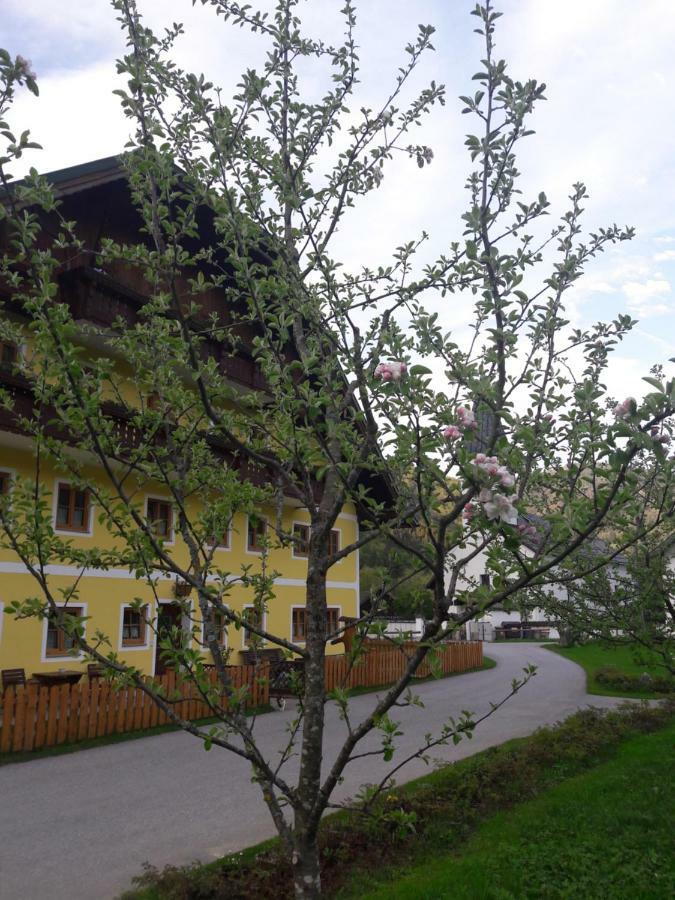 Biobauernhof Hauserbauer Hintersee Eksteriør billede