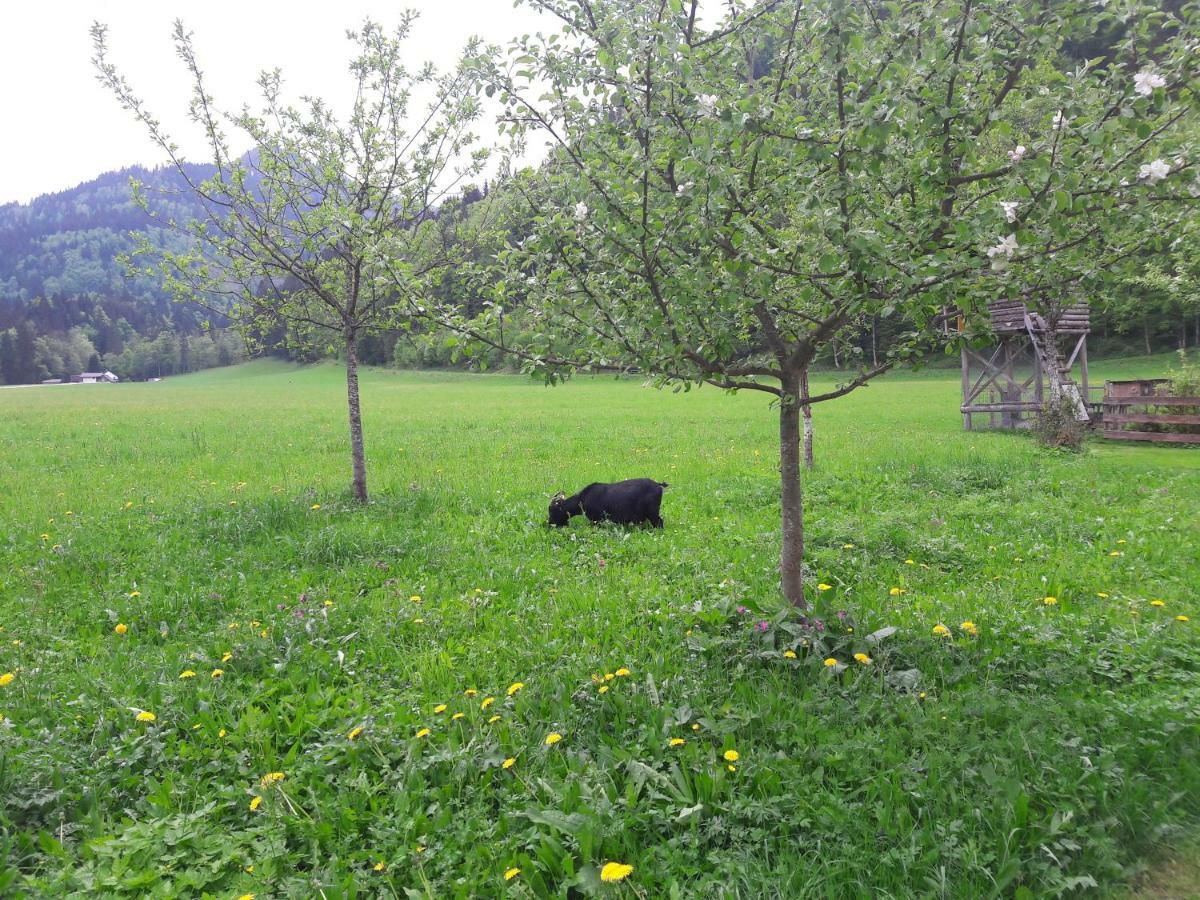 Biobauernhof Hauserbauer Hintersee Eksteriør billede