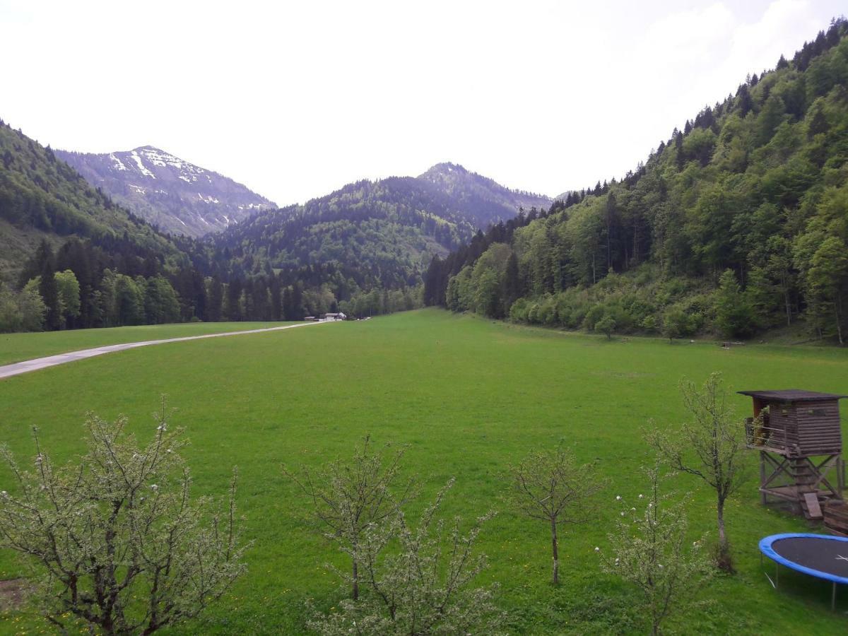 Biobauernhof Hauserbauer Hintersee Eksteriør billede