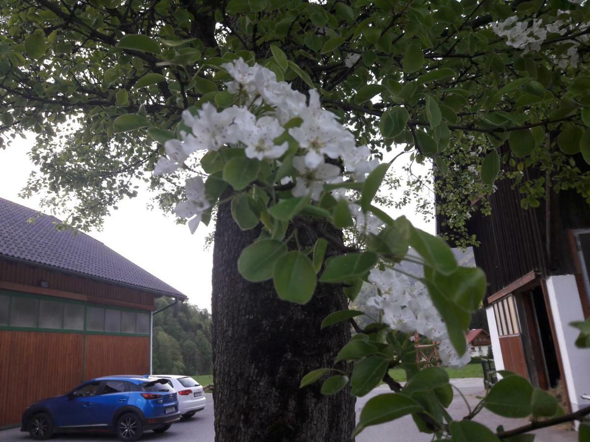 Biobauernhof Hauserbauer Hintersee Eksteriør billede