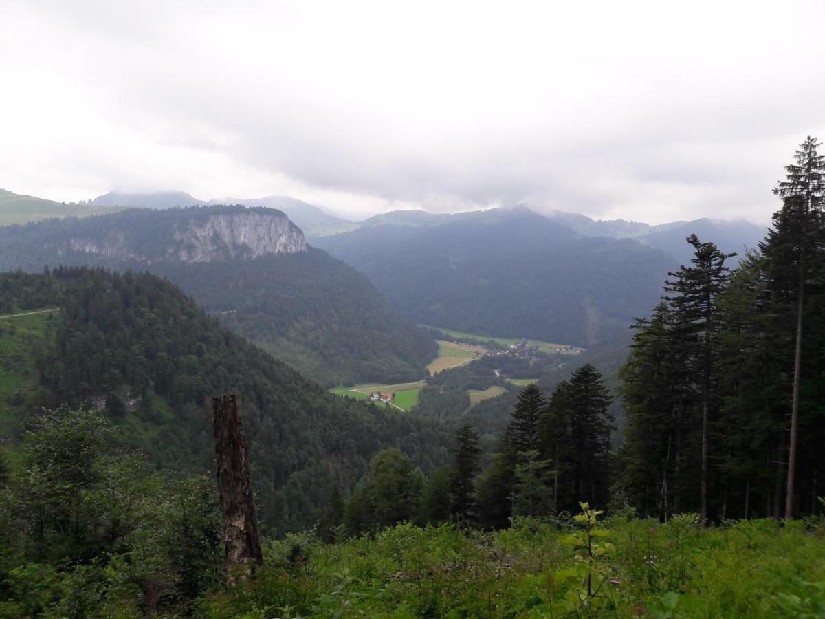 Biobauernhof Hauserbauer Hintersee Eksteriør billede
